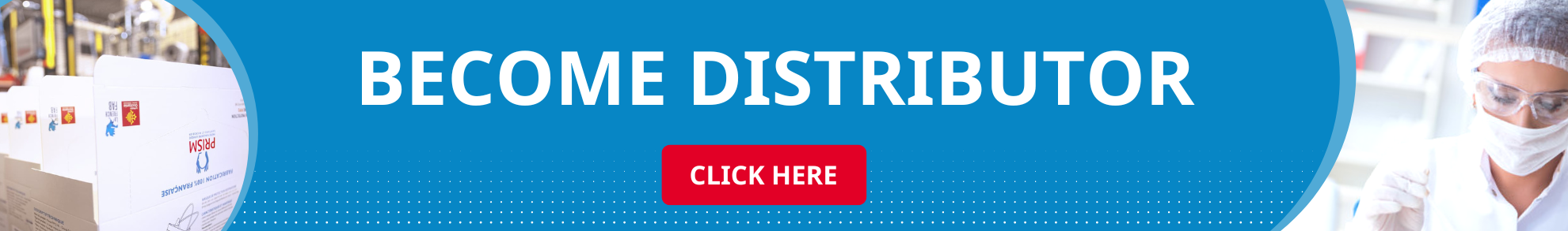 Bed Bug Treatment with Steam