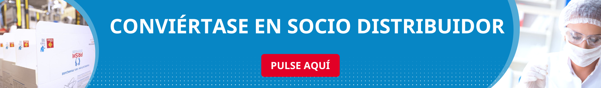 Tratamiento de chinches de cama con vapor