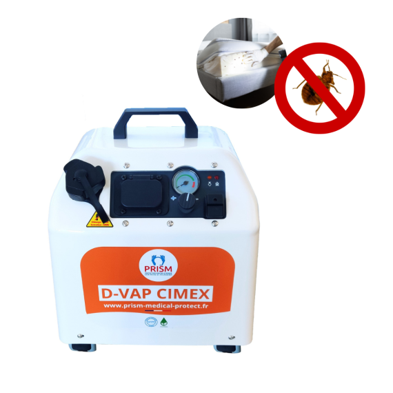 Tratamiento de chinches de cama con vapor